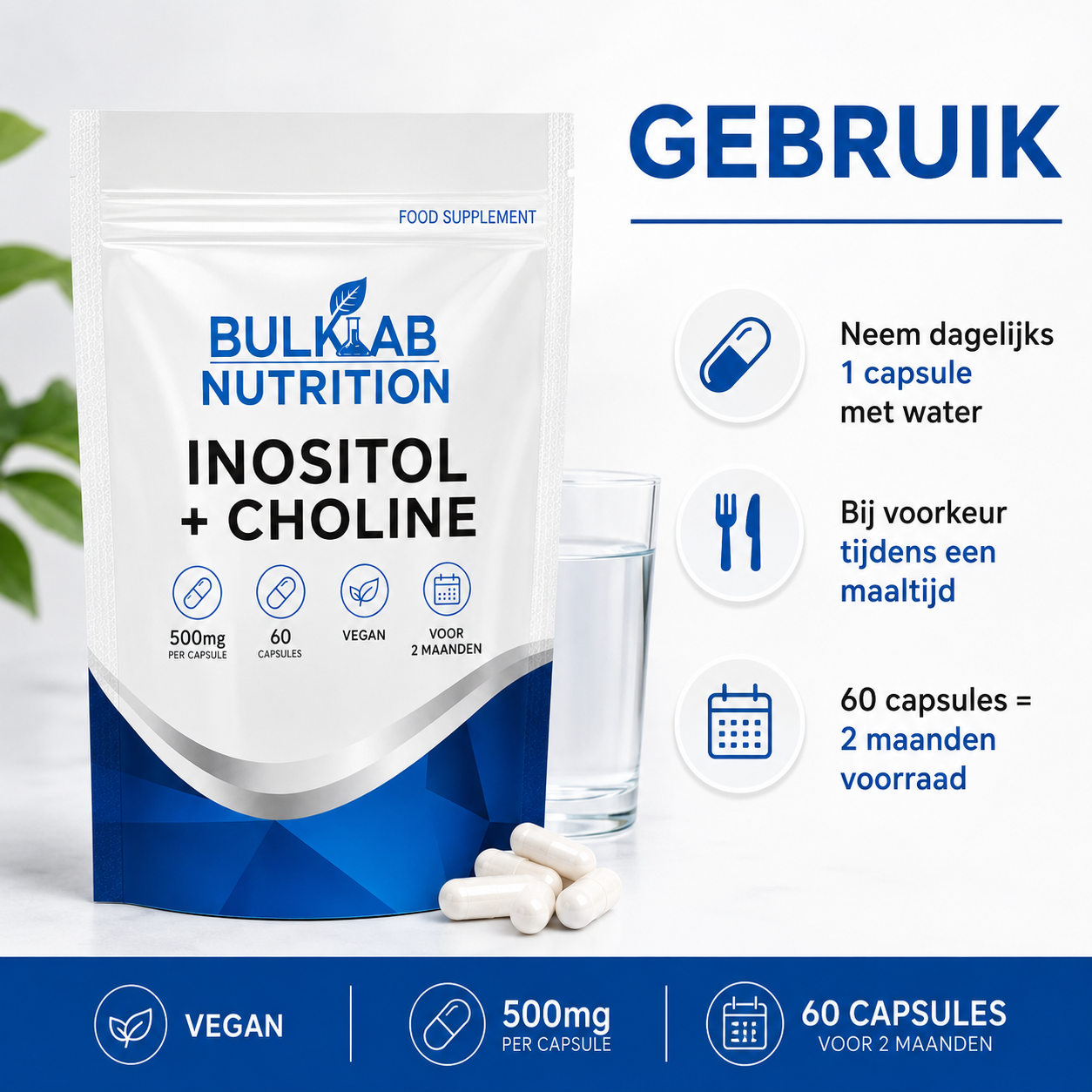 Inositol + Choline - Capsules - BulkLab Nutrition